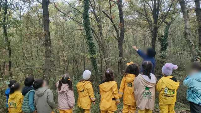 Arkadan görünen sarı yağmurluklu çocuklar, öğretmenlerinin gösterdiği sarmaşıklı ağaca bakıyor